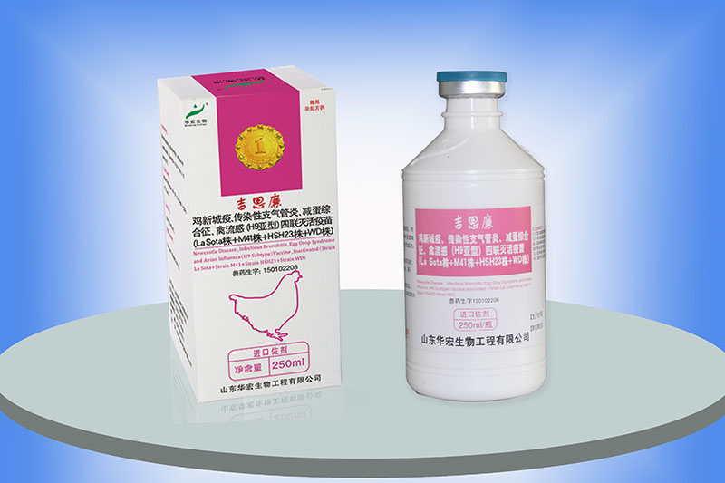 雞新城疫、傳染性支氣管炎、減蛋綜合征、禽流感（H9亞）四聯(lián)滅活疫苗