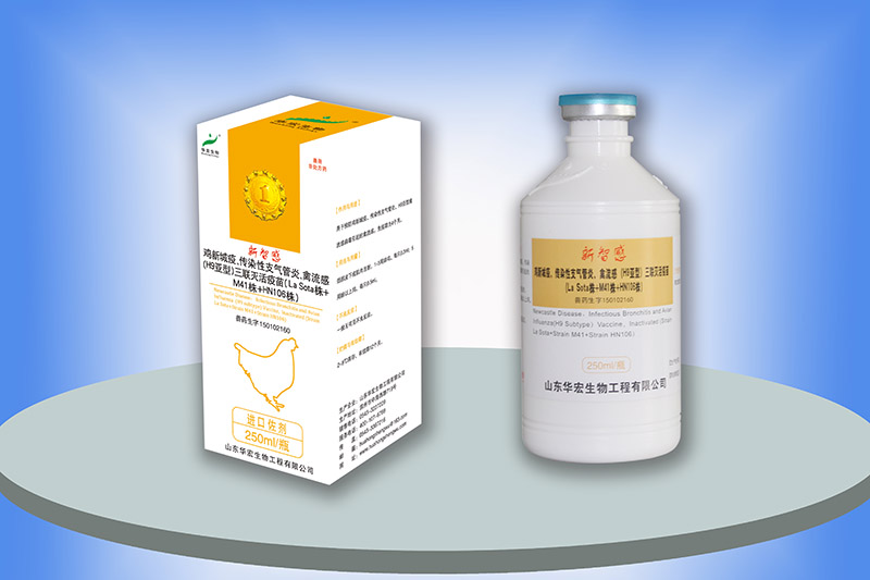 雞新城疫、傳染性支氣管炎、禽流感三聯(lián)滅活疫苗